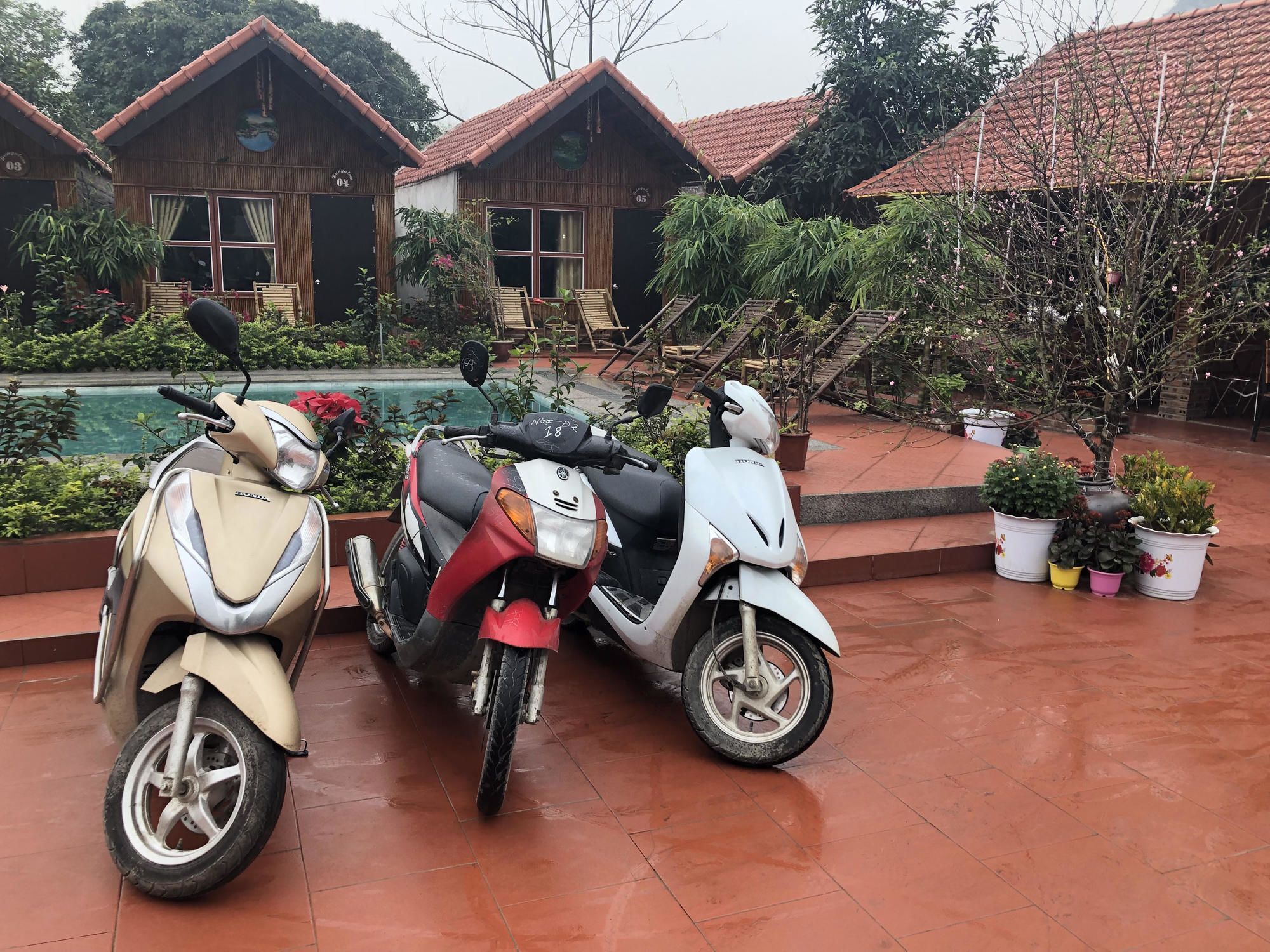 Tam Coc Garden Homestay Ninh Binh Bagian luar foto