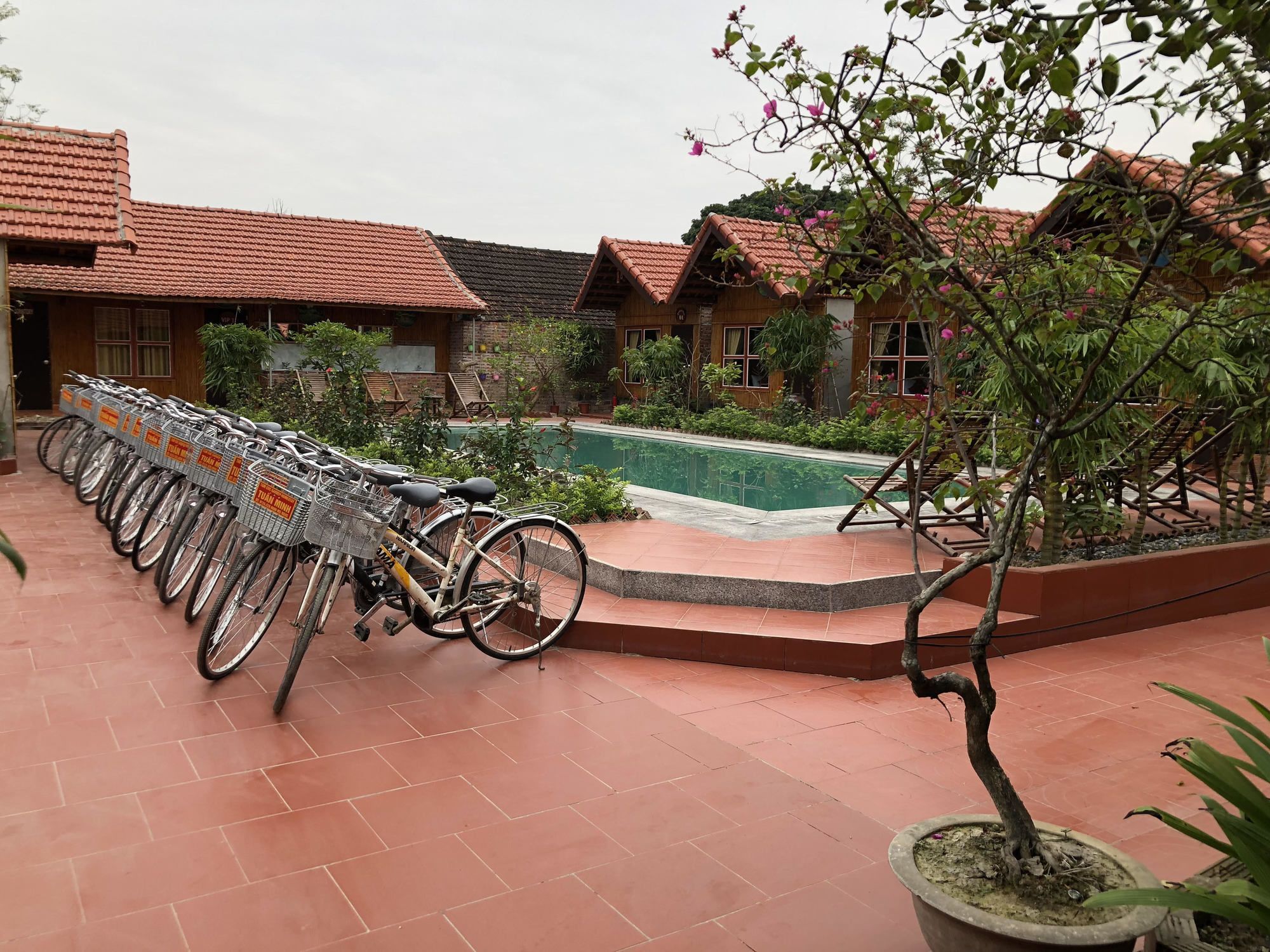 Tam Coc Garden Homestay Ninh Binh Bagian luar foto