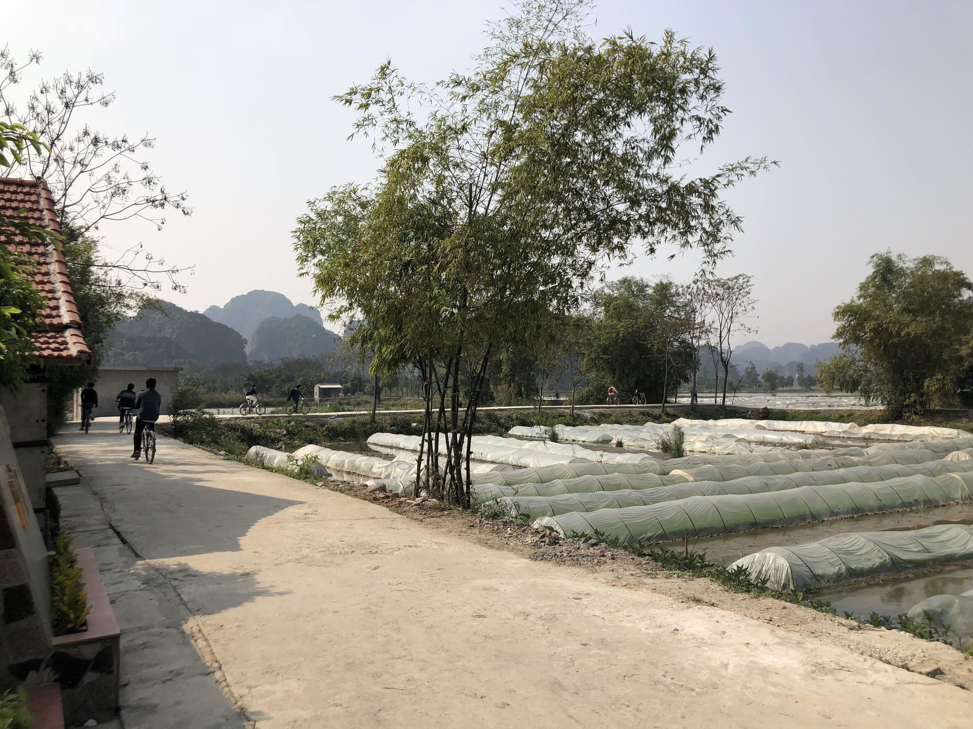 Tam Coc Garden Homestay Ninh Binh Bagian luar foto