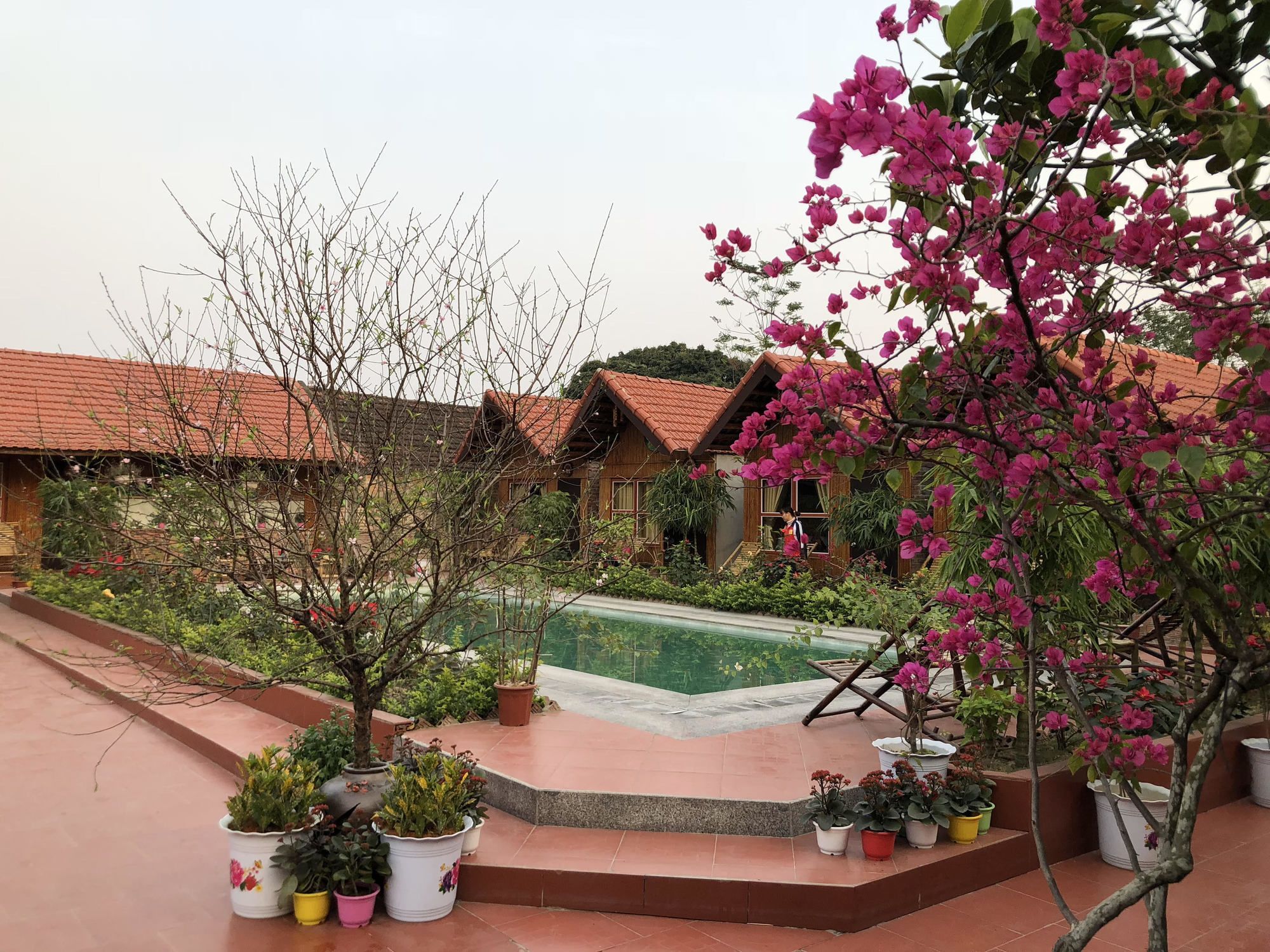 Tam Coc Garden Homestay Ninh Binh Bagian luar foto