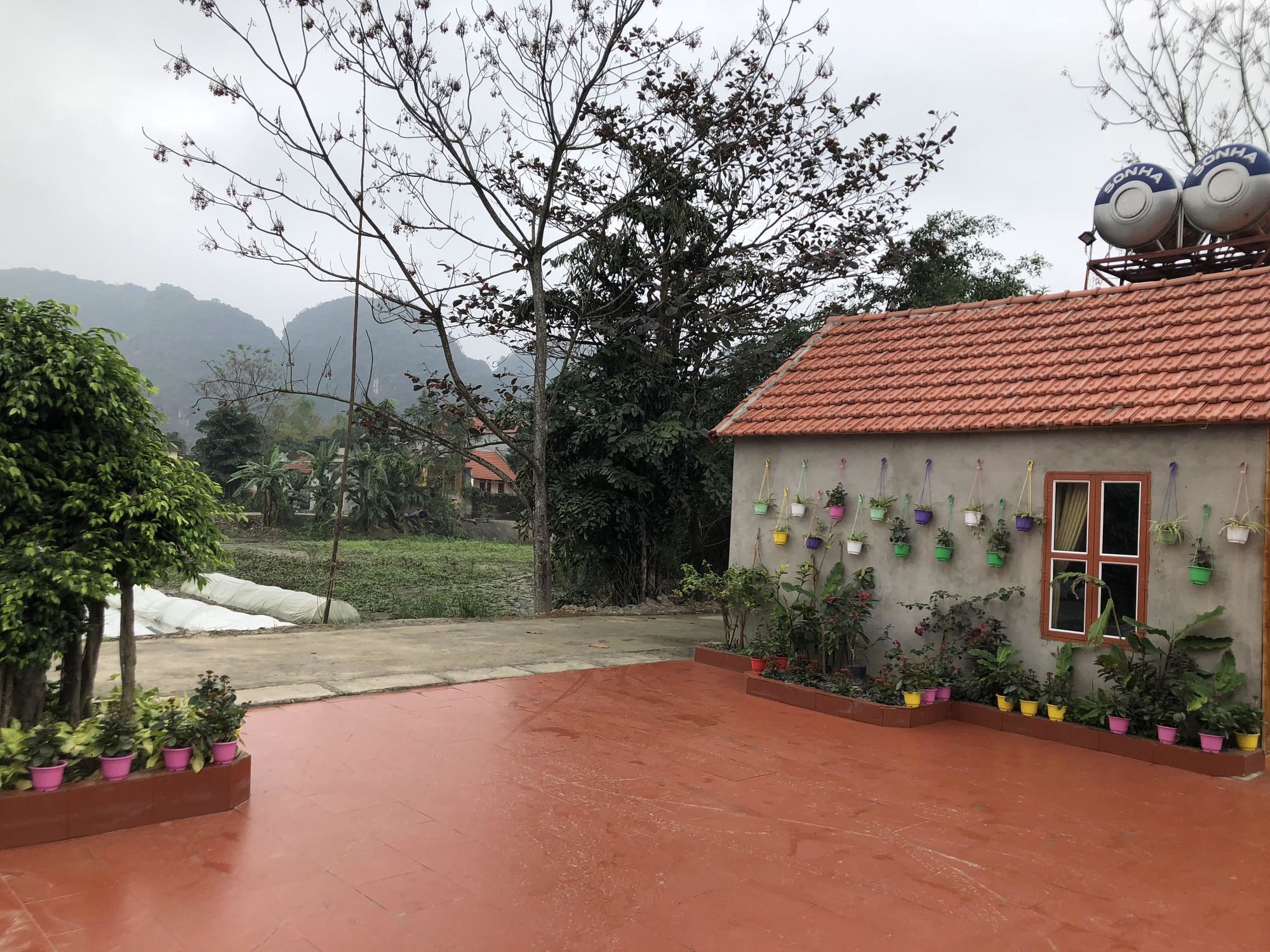 Tam Coc Garden Homestay Ninh Binh Bagian luar foto